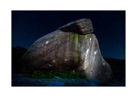 The Sheep, Burbage Print